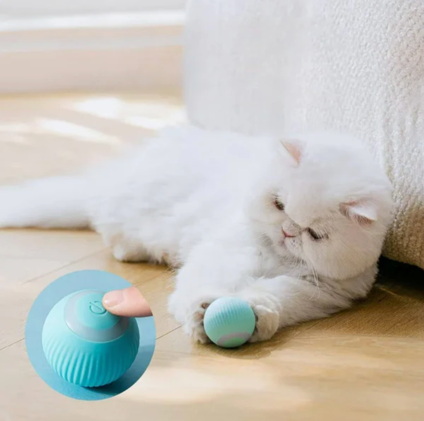 Automatic Smart Teasing Pet Ball